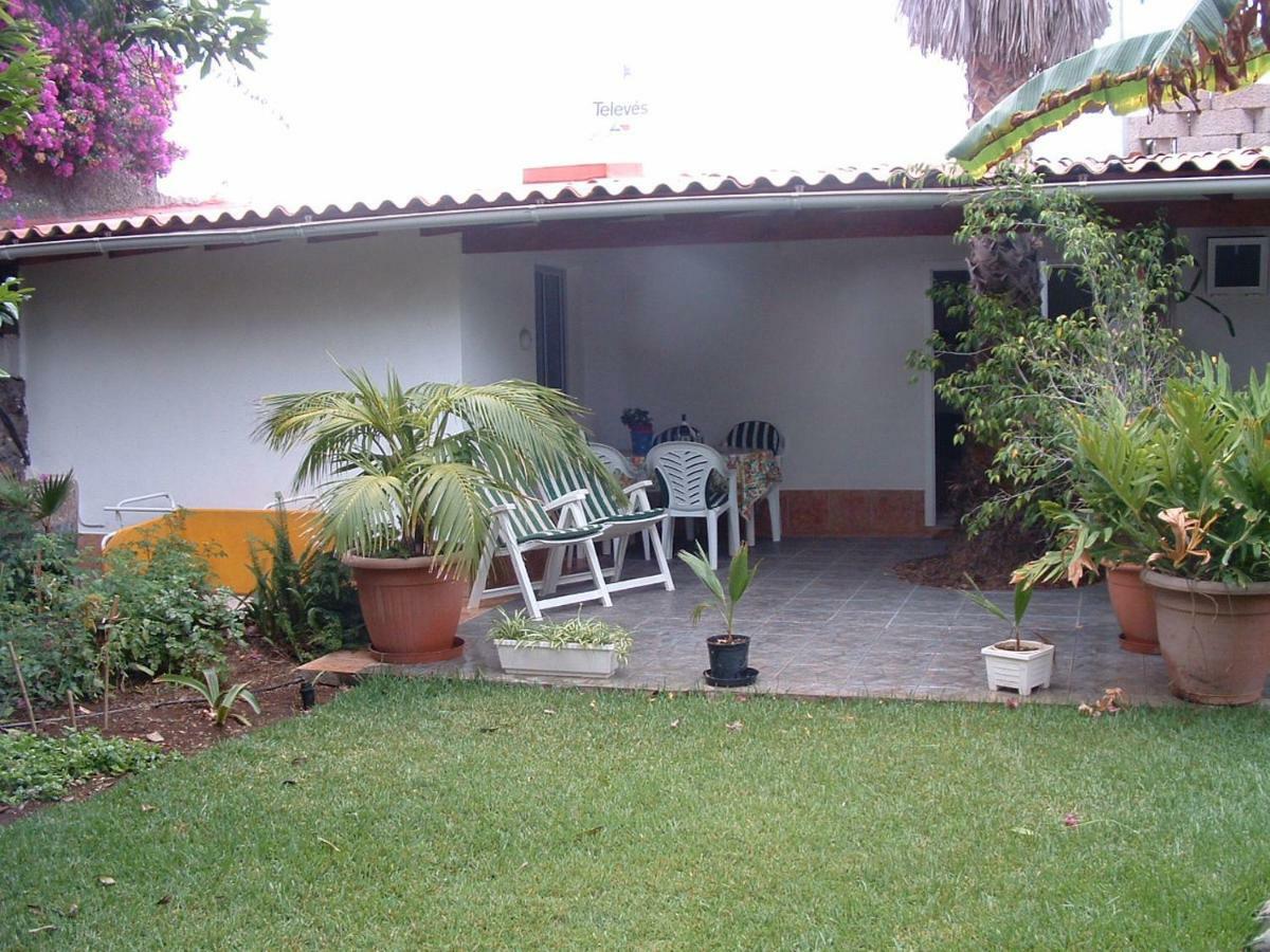 Finca La Gaviota - El Rincon Icod De Los Vinos Exteriör bild